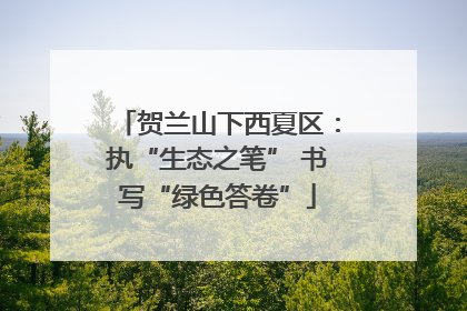 贺兰山下西夏区：执“生态之笔” 书写“绿色答卷”
